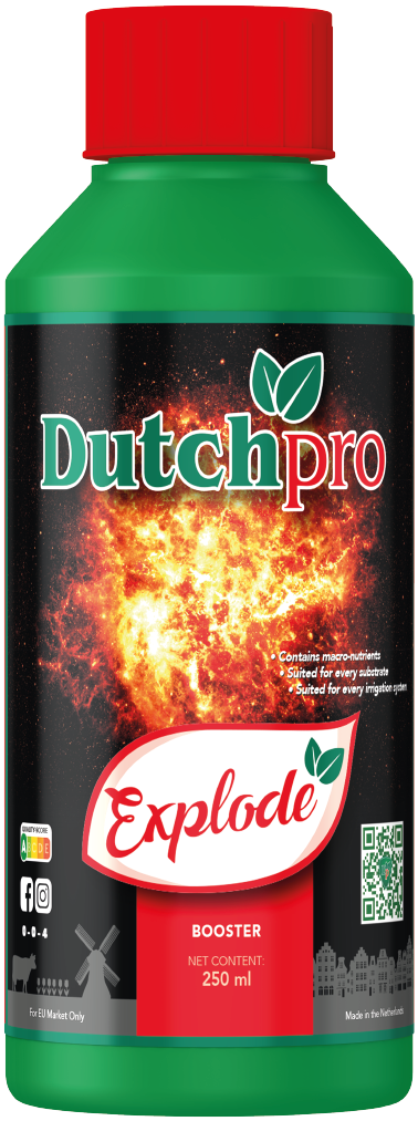 Dutch Pro Explode - 250ml